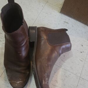 Timberland Mont Chevalier chelsea Boot